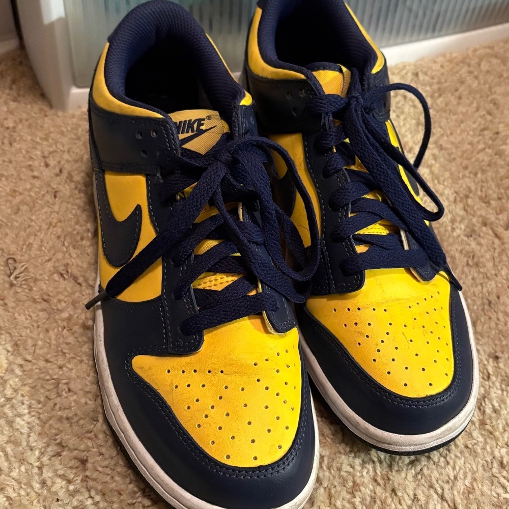 Nike dunk